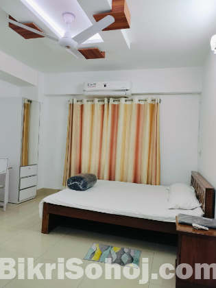 Fully Furnished Luxury 3BHK Apartment for Rent